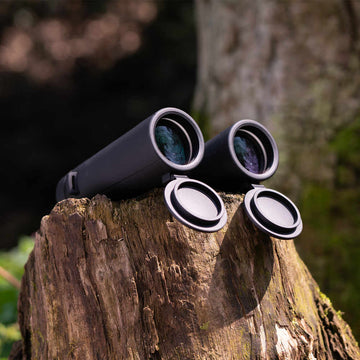 Binoculars for Hunting:What do you need to pick binoculars?