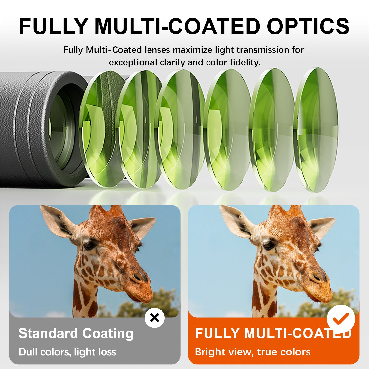 Scepter Advanced Flat-field APO Binoculars