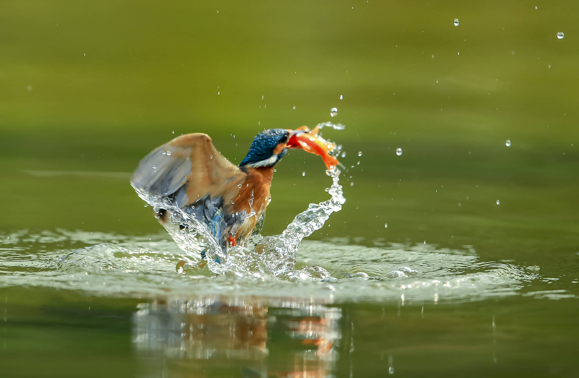slider image slider_item_f4zRn9